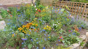 Photo 17- click for photo gallery